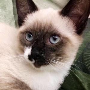 Meet your Posher, Ruth